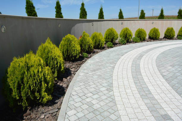 Best Residential Paver Driveway  in Colmar Manor, MD